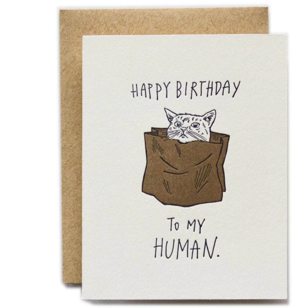 Happy Birthday To My Human - cat version