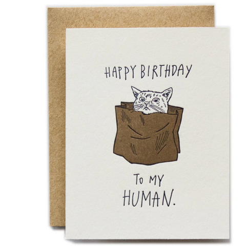 Happy Birthday To My Human - cat version -birthday