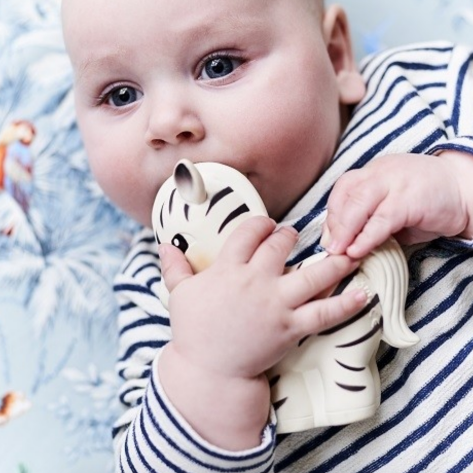 Zippy the Zebra 100% Natural Rubber Teether Toy