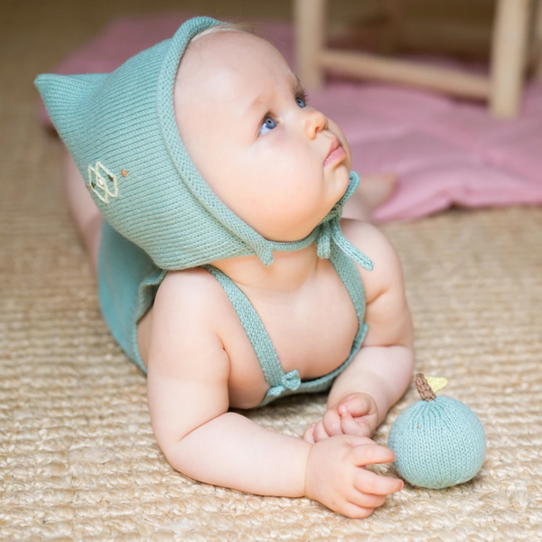 Apple Rattle
