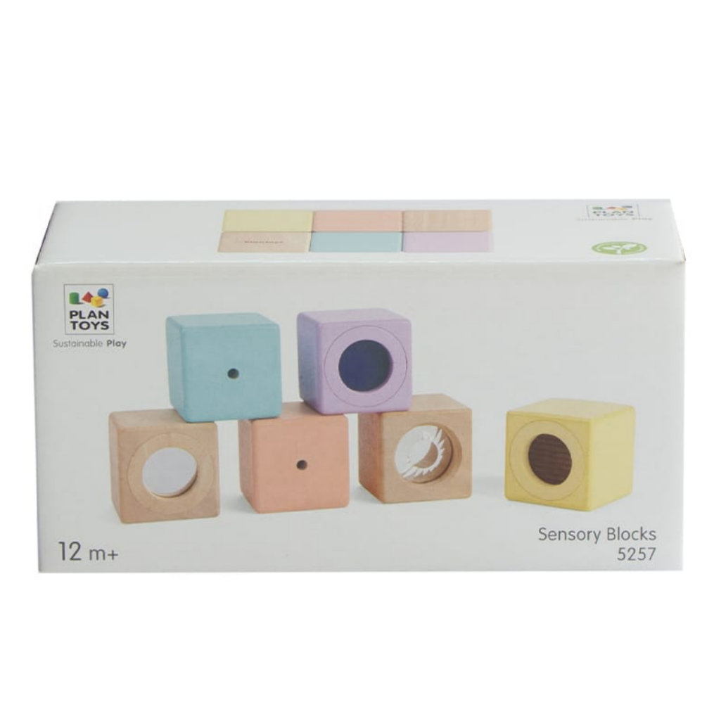 Sensory Blocks