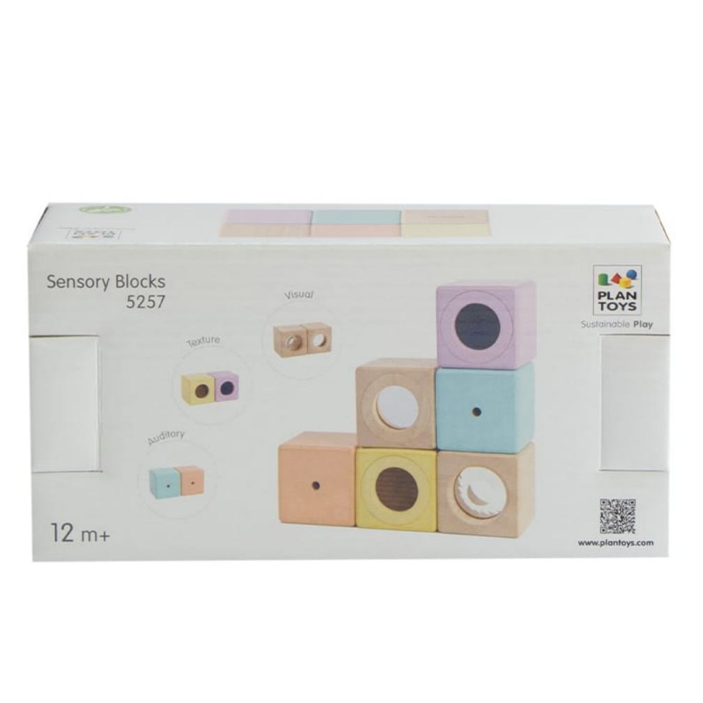 Sensory Blocks