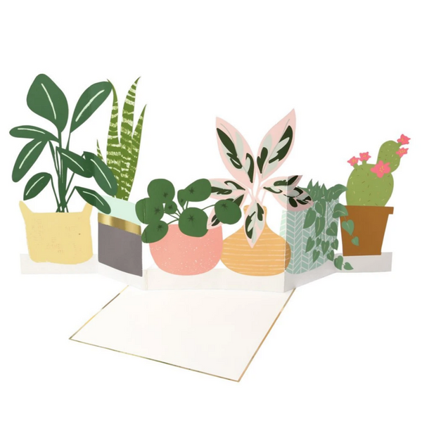House Plant Concertina Card -Blank