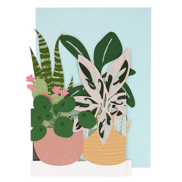 House Plant Concertina Card -Blank