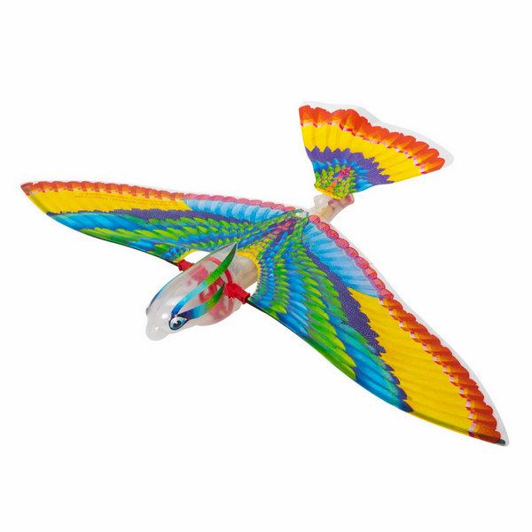 colorful bird toy