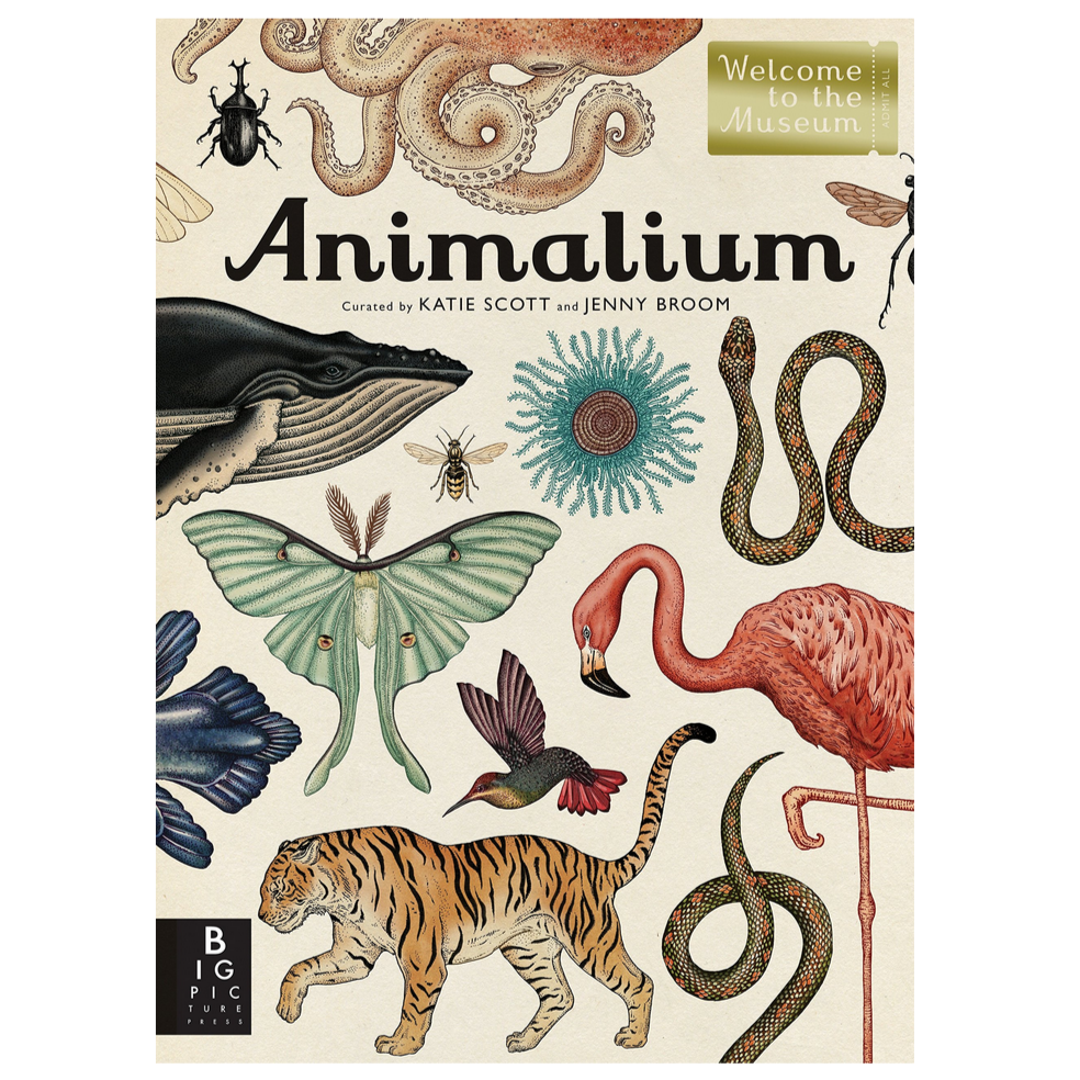 Animalium