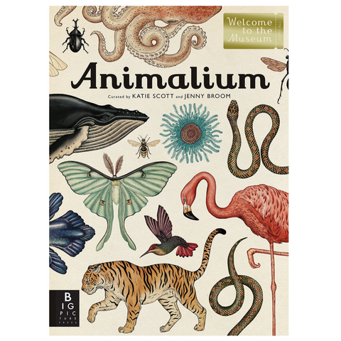 Animalium (8-12yrs)