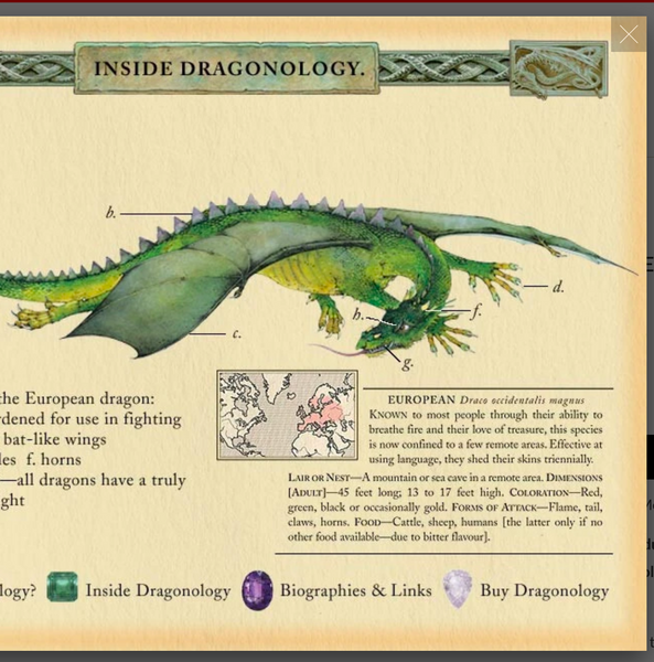 Dragonology (8-12yrs)