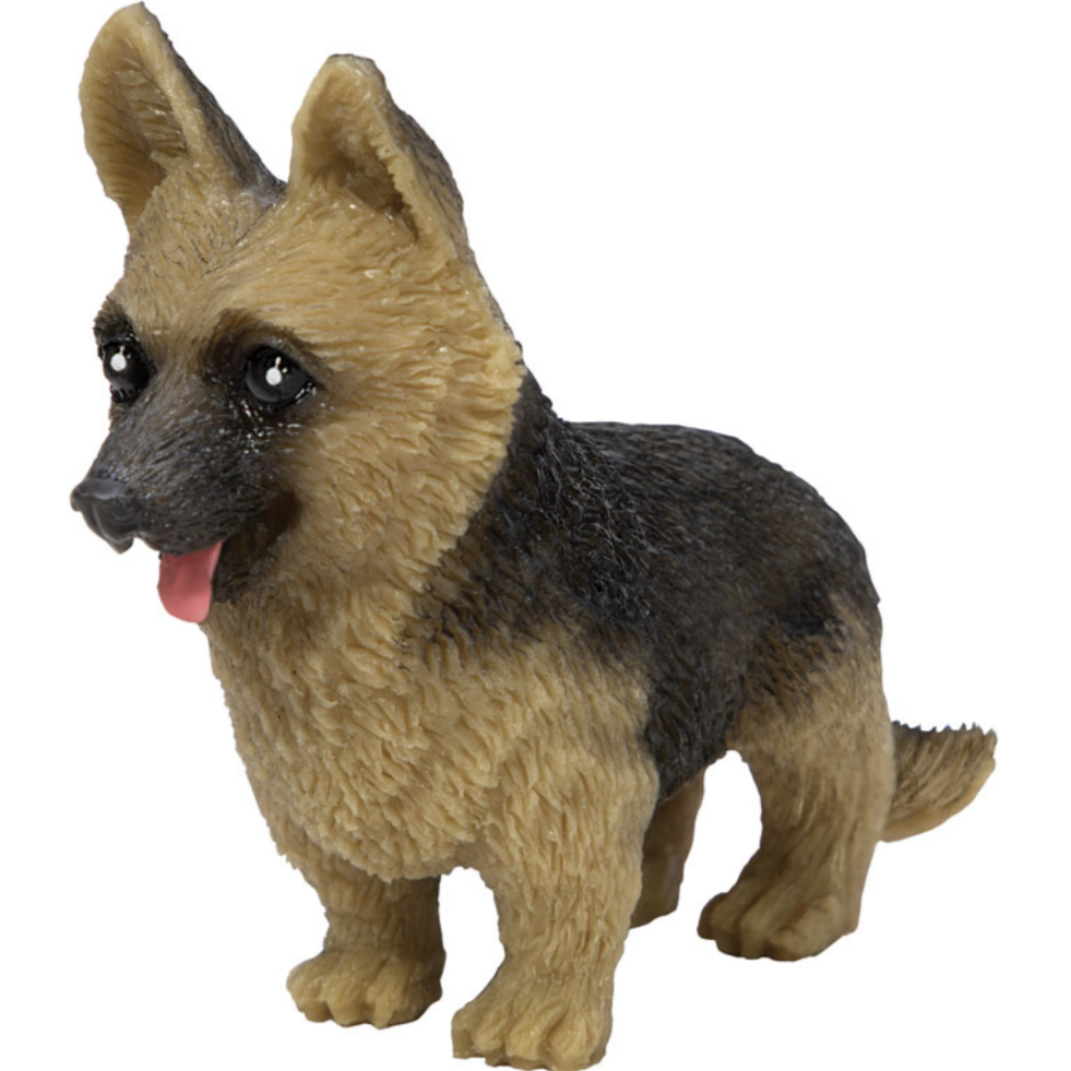 german shepard