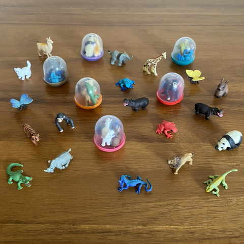picture of tiny rubber animals and capsules