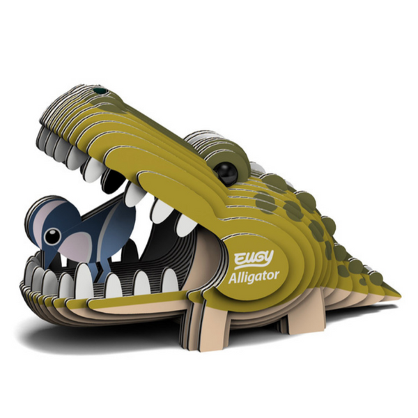 Alligator 3-D model kit 6yrs+