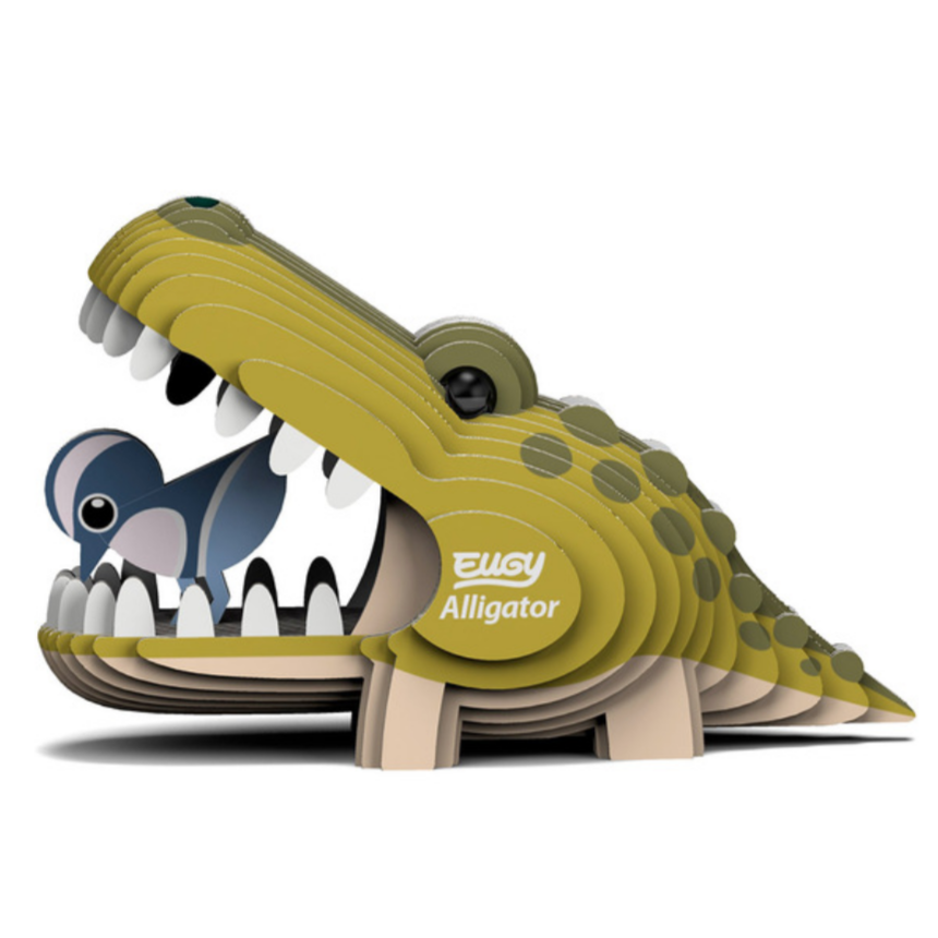 Alligator 3-D model kit (6-14yrs)