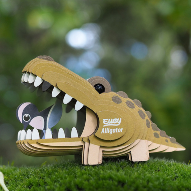 Alligator 3-D model kit (6-14yrs)