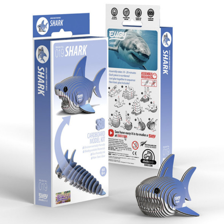 Shark 3-D model kit