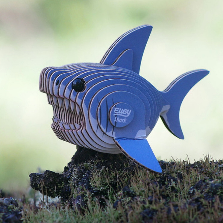 Shark 3-D model kit