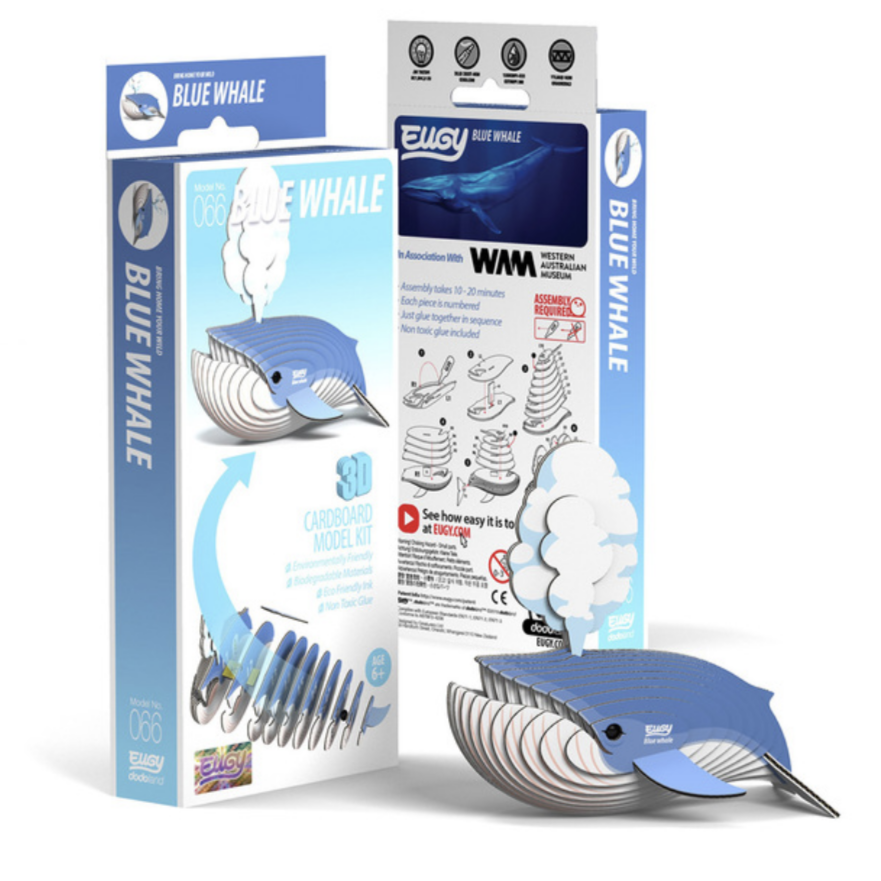 Blue Whale 3-D model kit (6-14yrs)
