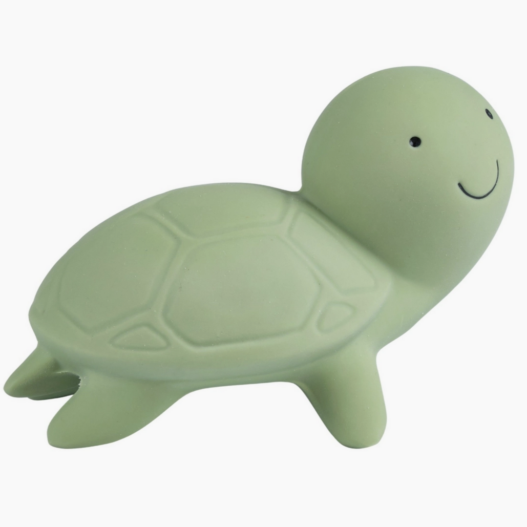 Turtle - Natural Rubber Teether, Rattle & Bath Toy