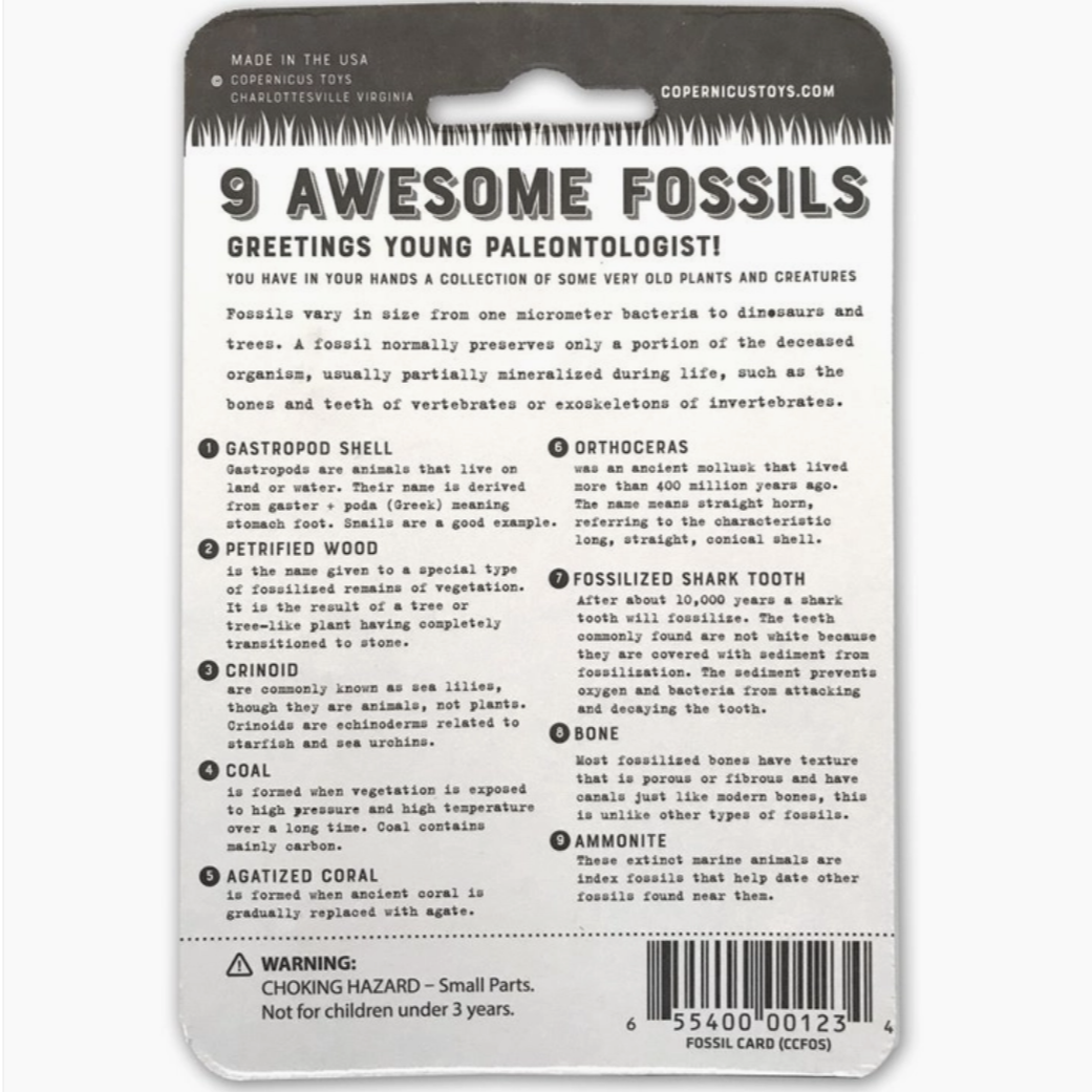 Fossil Card (4-12yrs)