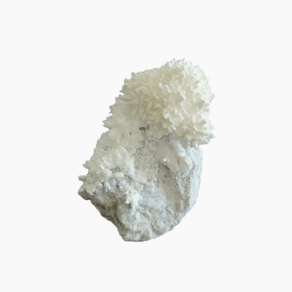 rock with crystals growning on it
