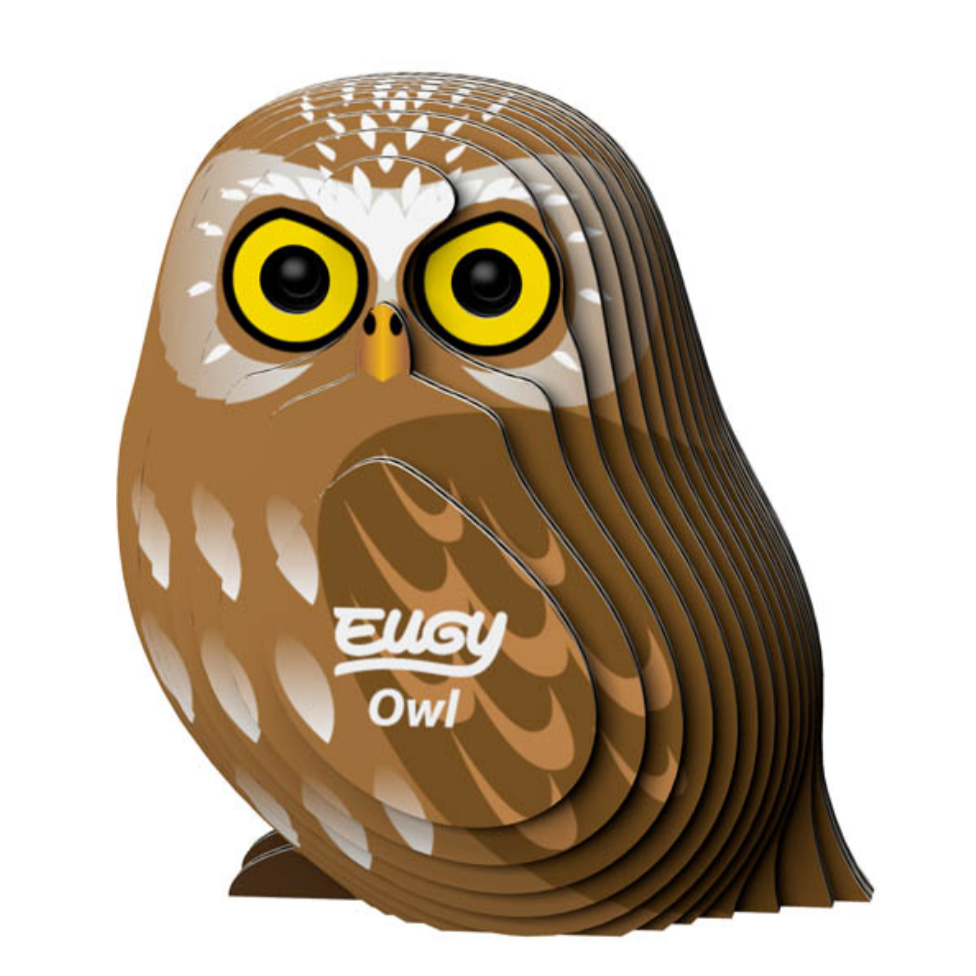 Owl 3-D model kit (6-14yrs)