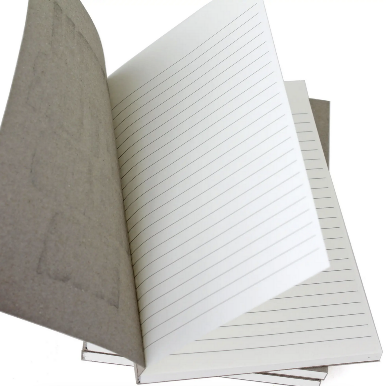 Plan A or Plan B Letterpress Notebook