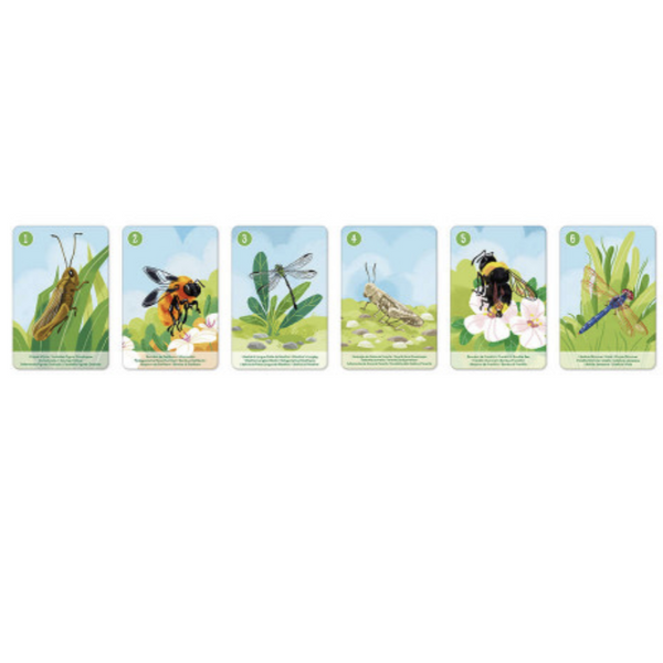 Animal Kingdom Happy Families Set - In partnership with WWF 4-12yrs