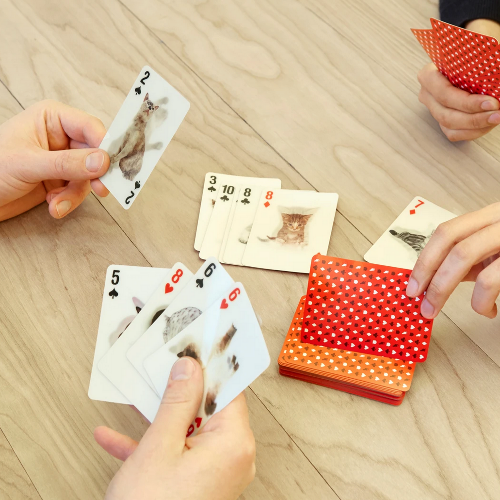 3-D Playing Cards Cats