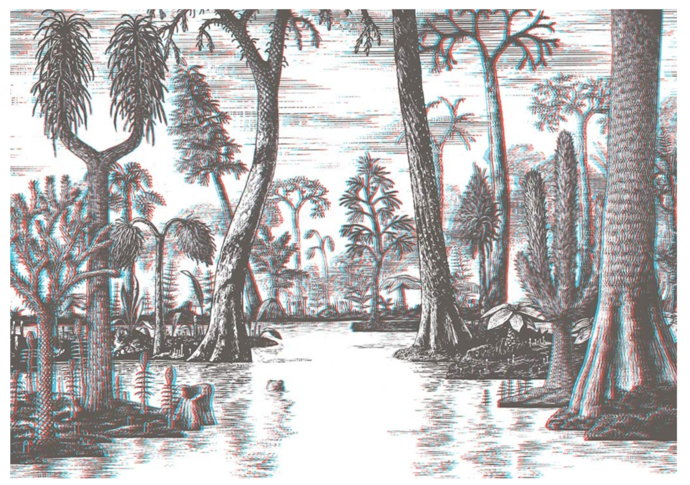 Jim Curious and the Jungle Journey: A 3-D Voyage into the Jungle