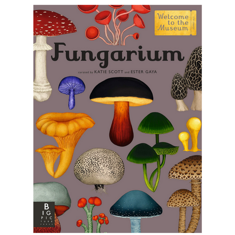 Fungarium : Welcome to the Museum (8-12yrs)