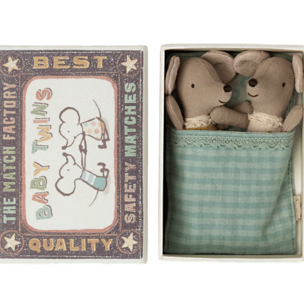Baby Twins in Box