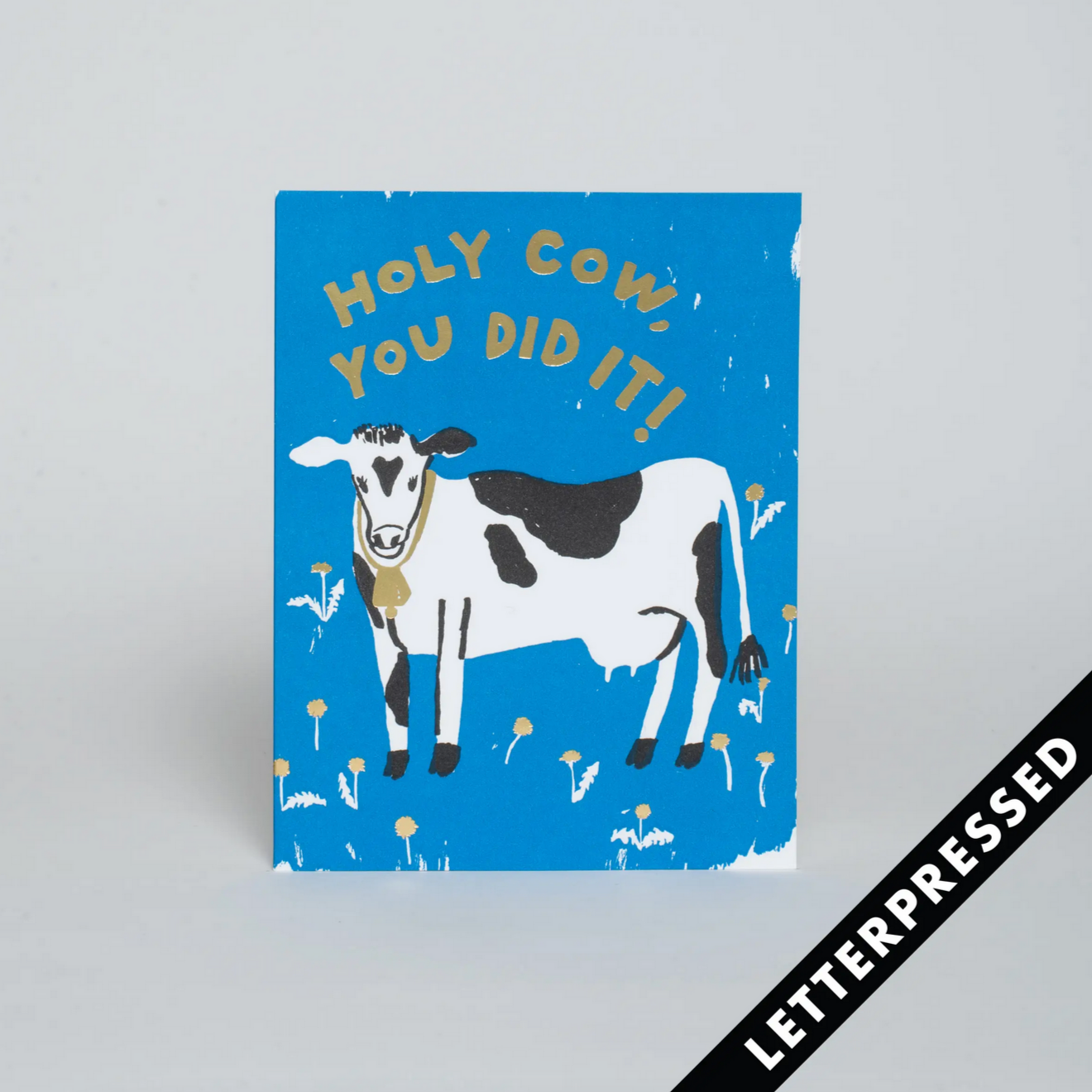 Holy Cow -Congratulations