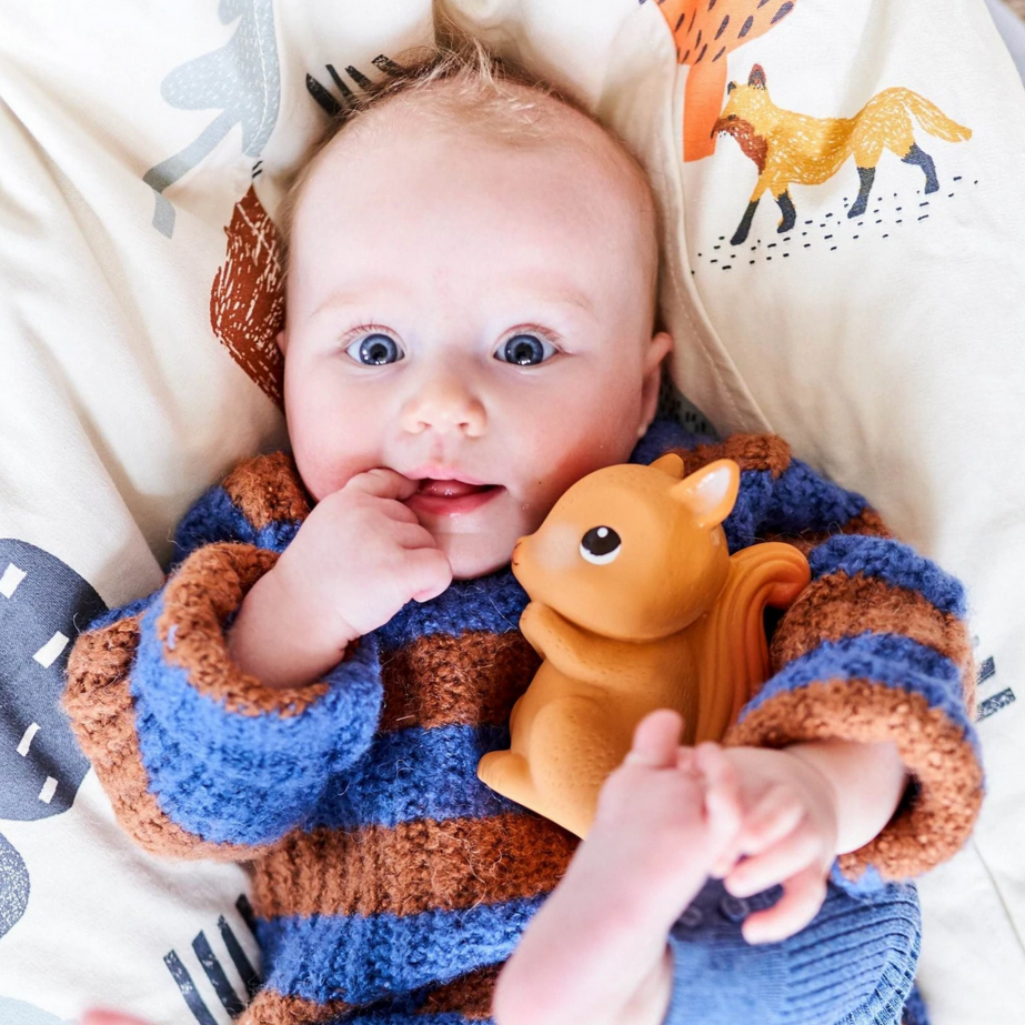 Silas the Squirrel Teether