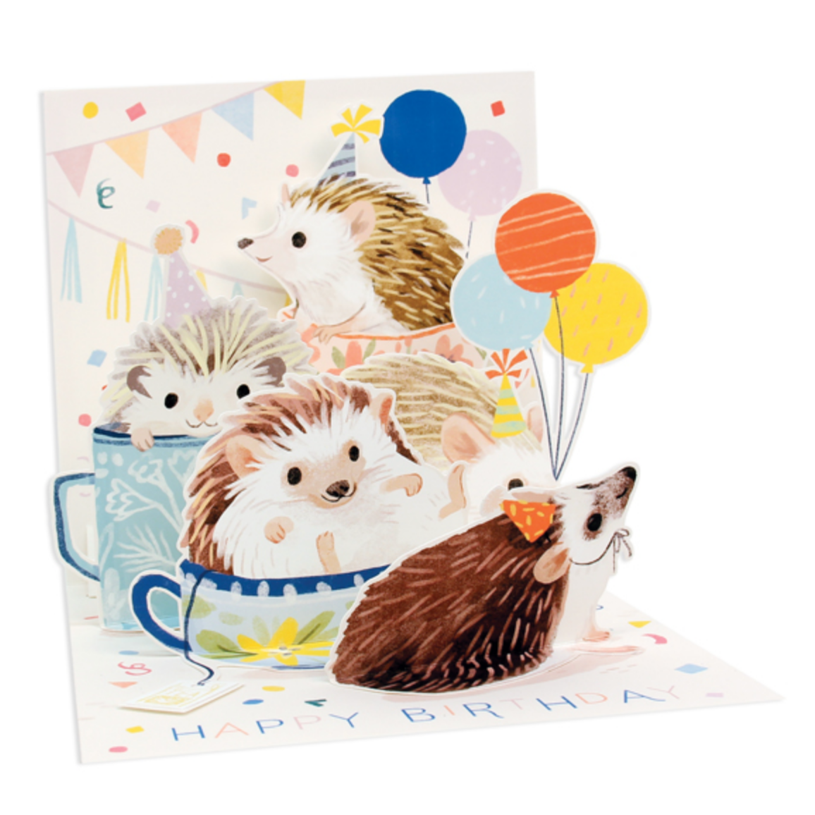 Hedgehog :pop-out -Birthday