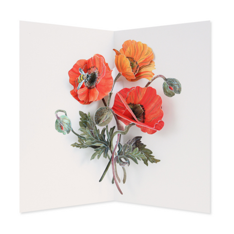 Poppies :pop-up -Hello/Cogratulations/Love/Empathy/Blank