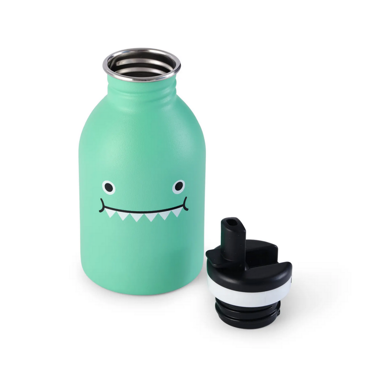 Stainless Steel Bottle - Ricedino - green