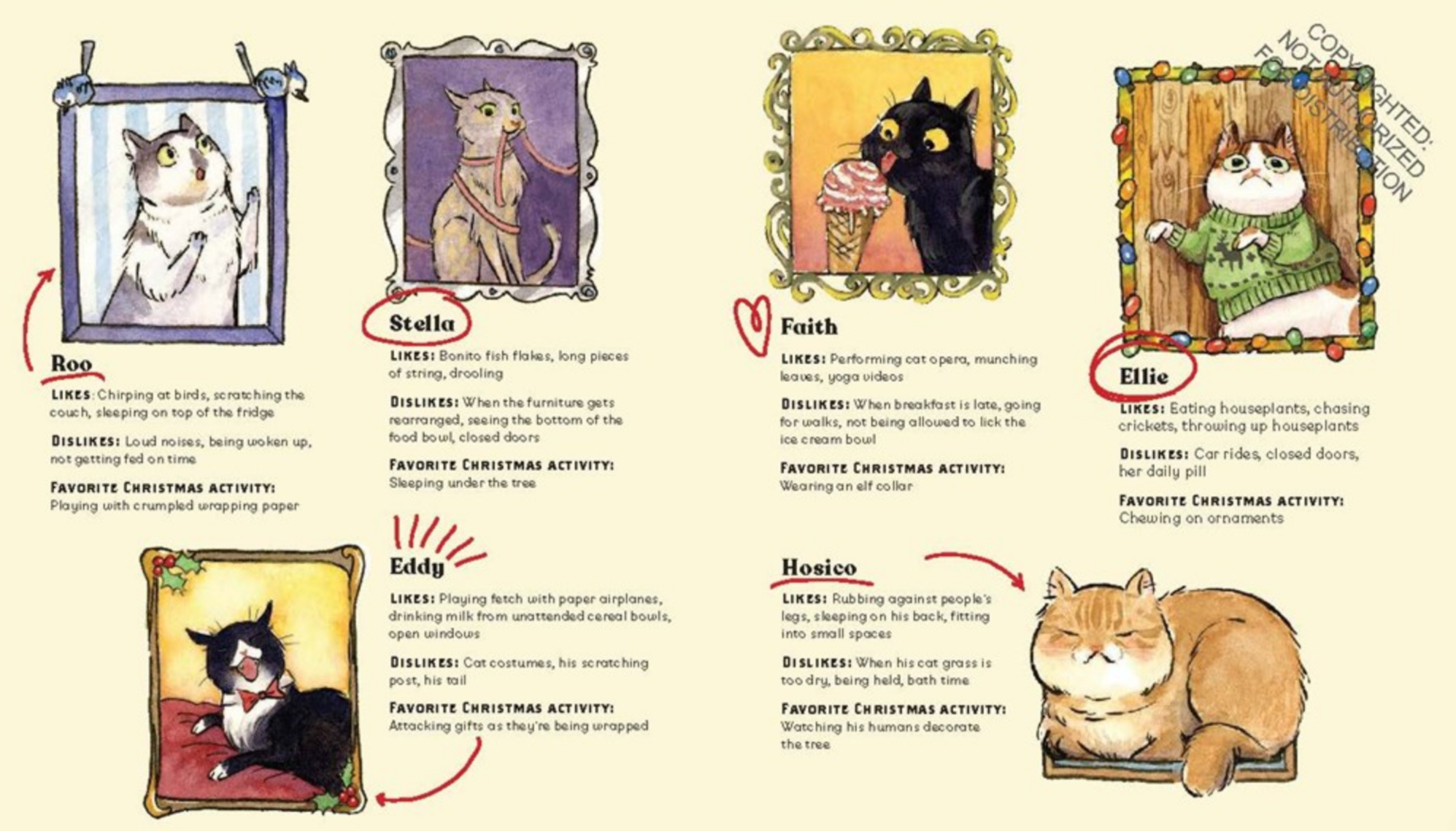 The Twelve Cats of Christmas