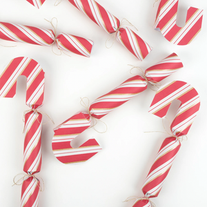 Candy Cane Shape Crackers ( tiger erasers, gold and silver star brooches, mint and coral paper clips or a metal puzzle) my