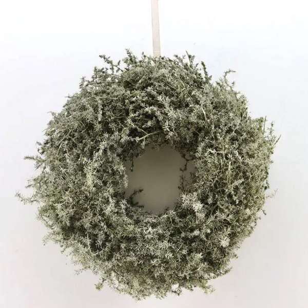 Asparagus Dried Wreath - Olive Green -14in