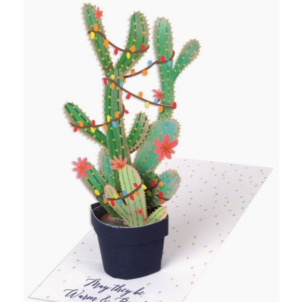 Christmas Cactus -Christmas