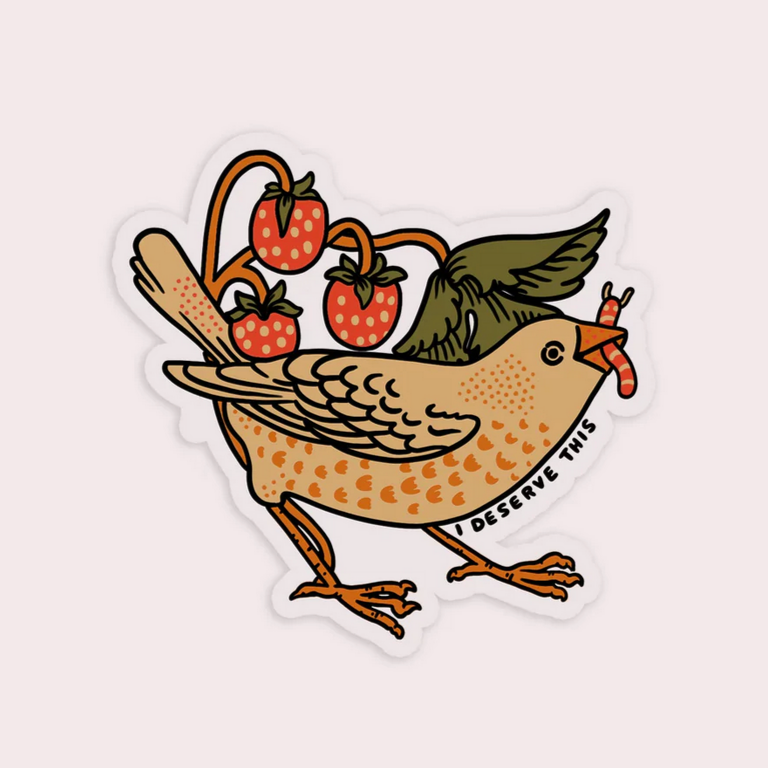 I Deserve This (Bird) Clear Vinyl Sticker