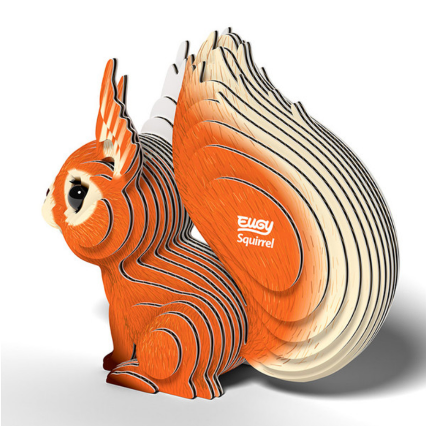 Squirrel 3-D model kit (6-14yrs)