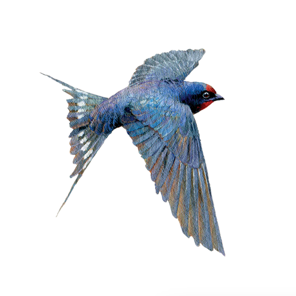 51 Stunning Bluebird Tattoo Ideas [2024 Inspiration Guide] | Bluebird tattoo,  Tiny bird tattoos, Blue ink tattoos