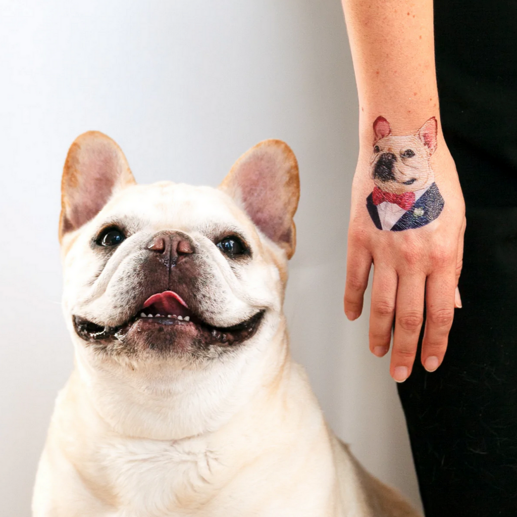 French Bulldog Temporary Tattoo - Set of 3 – Tatteco
