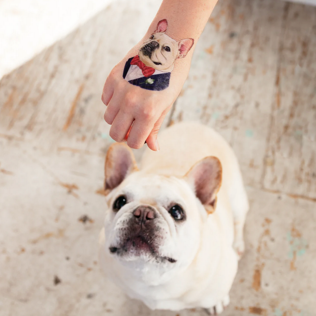 French Bulldog Tattoo Pair