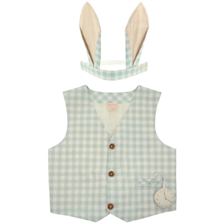 Gingham Bunny Costume 3-6yrs