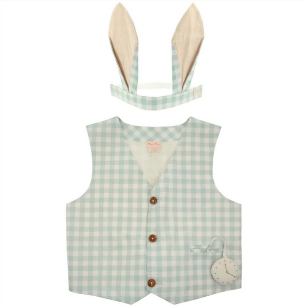 Gingham Bunny Costume 3-6yrs