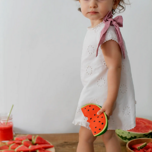 Wally the Watermelon Teether