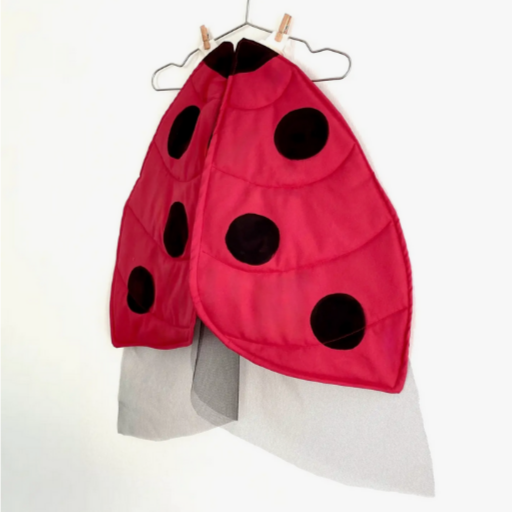 Ladybug Wings (2-10yrs)