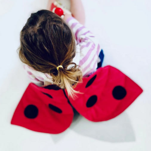 Ladybug Wings (2-10yrs)