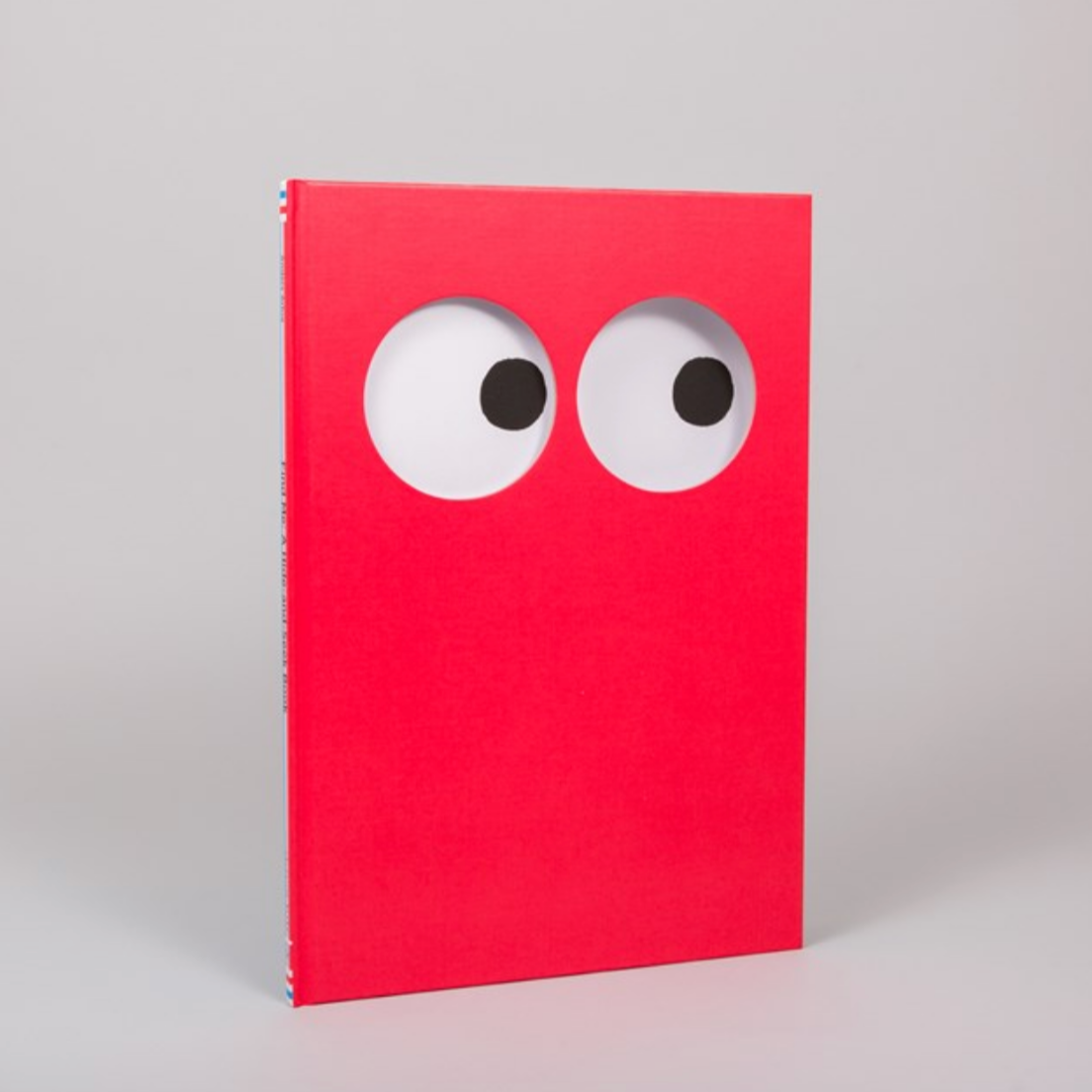 Find Me: A Hide-and-Seek Book (5-8yrs)